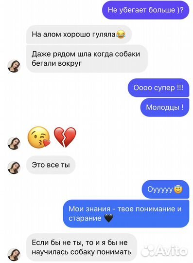 Дрессировка собак, Зоопсихолог, Кинолог - Онлайн