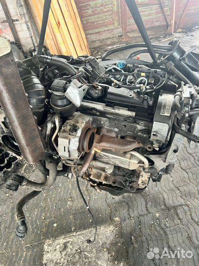 Двигатель 2.2 651955 на/для Мерседес