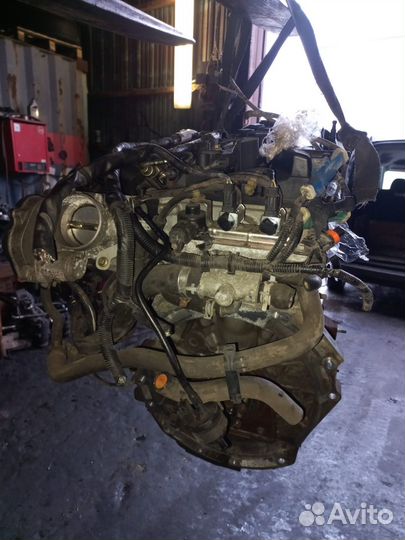 Двигатель qqdb Ford Focus 2 0.0 0