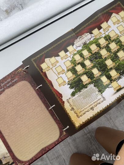 Новая родословая книга подарок