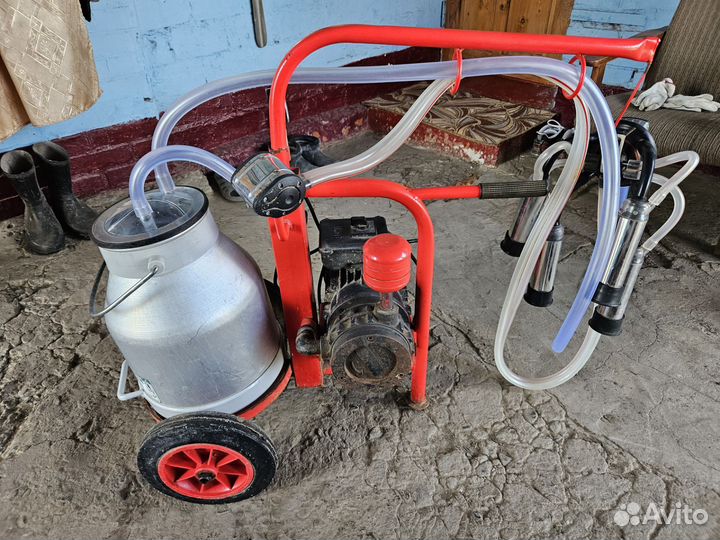 Доильный аппарат для коров