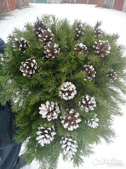 Букет из Пихты