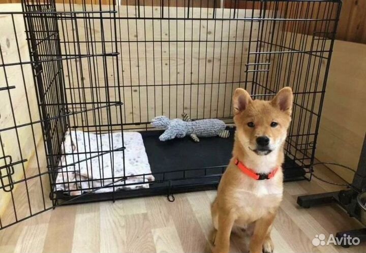 Клетка для собак #2 с пластиковым поддоном