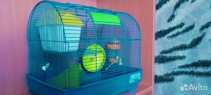 Клетки для грызунов