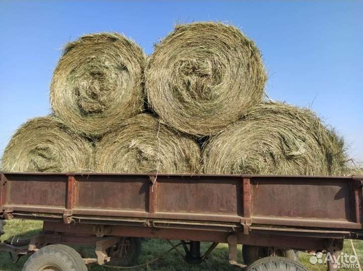 Сено в тюках. Доставка