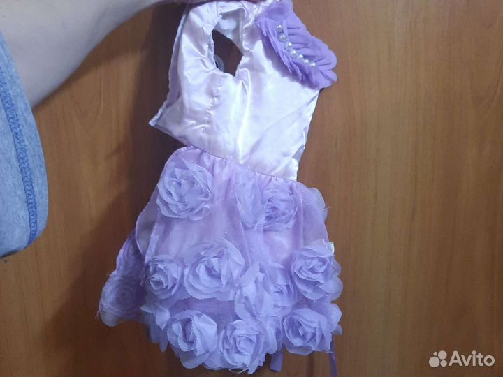 Одежда для маленьких собак