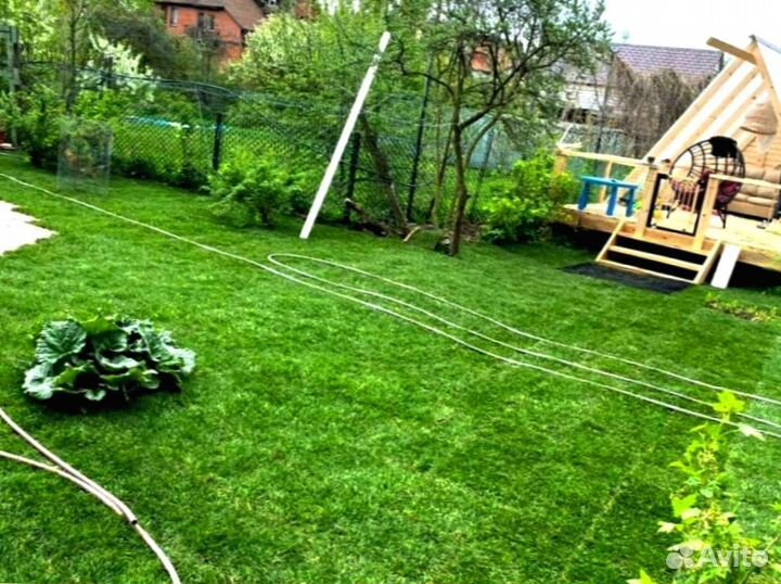 Рулонный газон