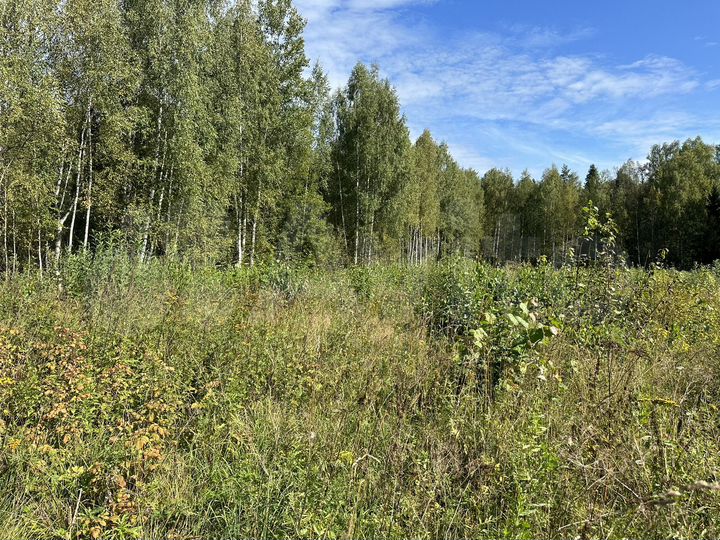 Участок 15 сот. (СНТ, ДНП)