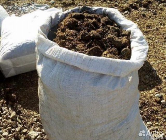 Навоз перегной