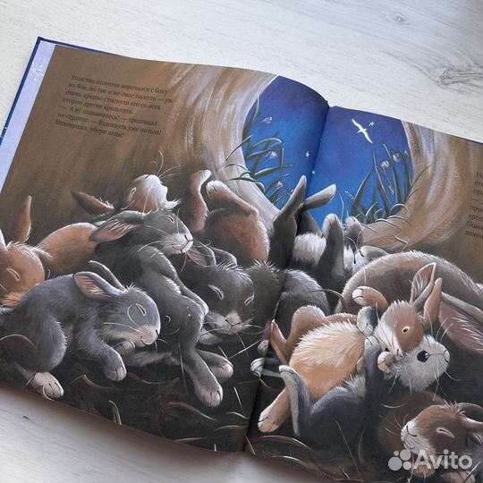 Книга детская «Зайчик, который сбежал из дома»