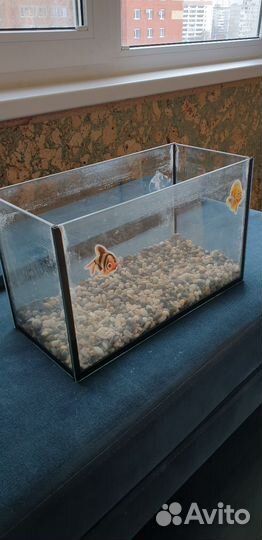 Аквариум для рыбок