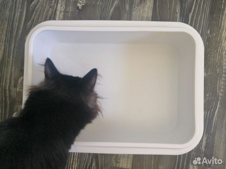 Лоток для кошек