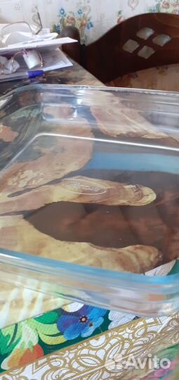 Форма из жаропрочного стекла