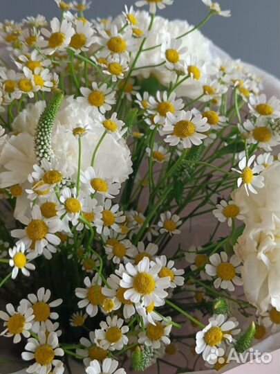Ромашки Букеты из ромашек танацетум