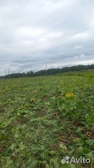 Покос травы трактором