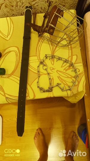 Намордник для собак