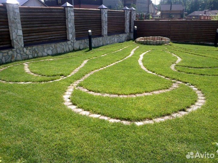 Газон рулонный с укладкой от производителя