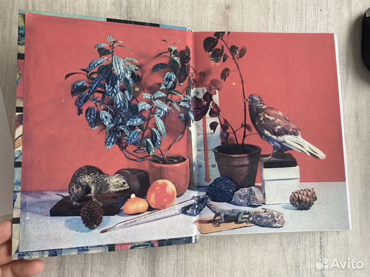 Клепинина природоведение 2-3