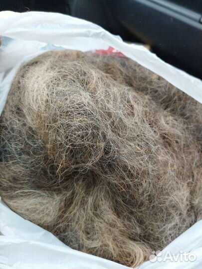 Собачья шерсть