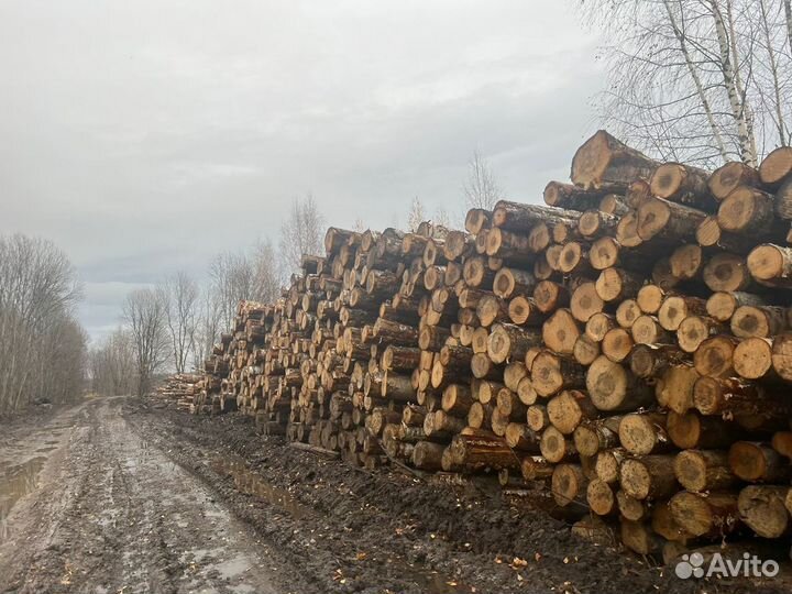 Лес кругляк пиловочник