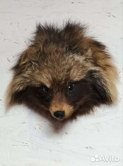 Чучела животных и птиц