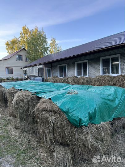 Сено