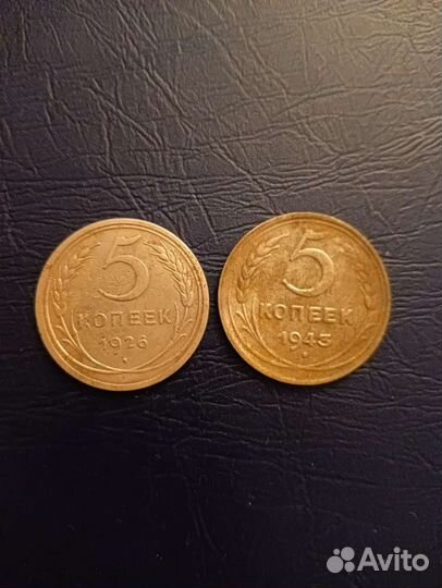 Пяточки нечастые обмен