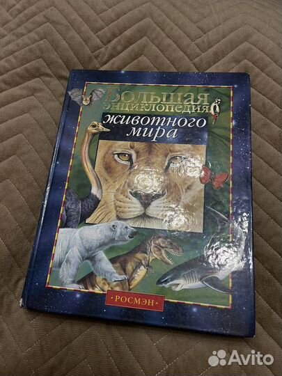 Большая энциклопедия