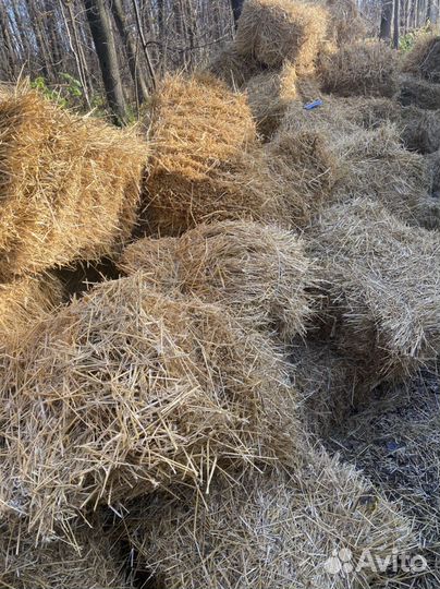 Солома в мешках