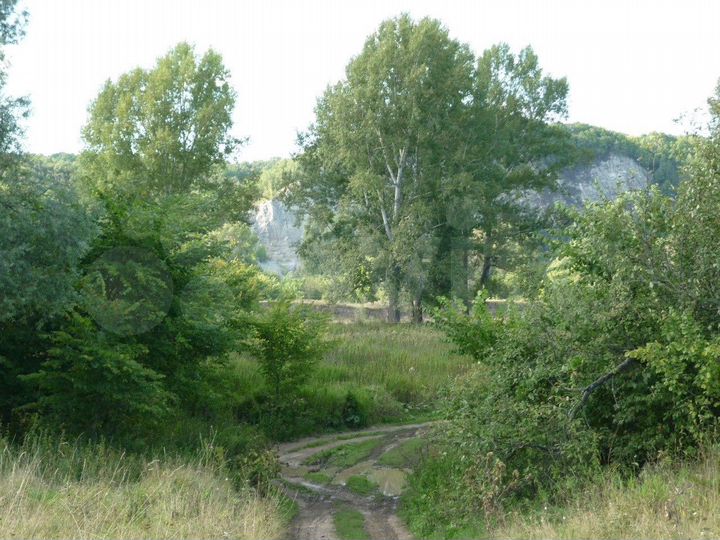 Участок 32 сот. (ИЖС)