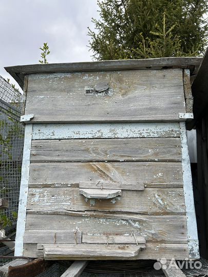 Улей для пчел бу