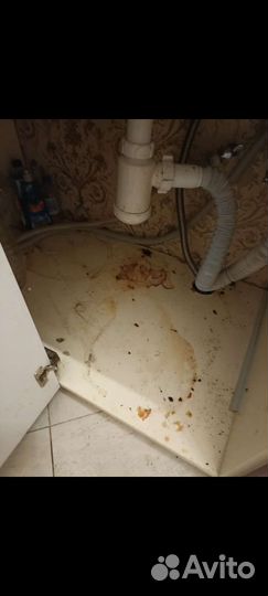 Клининговые услуги, озонирование