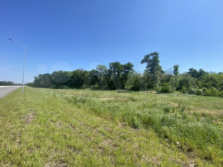 Участок 4,56 га (СНТ, ДНП)