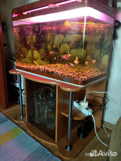 Аквариум