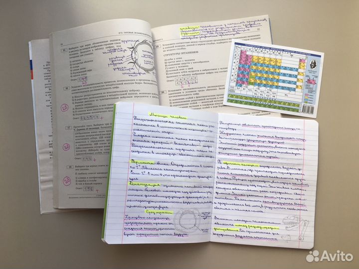 Конспекты егэ по биологии