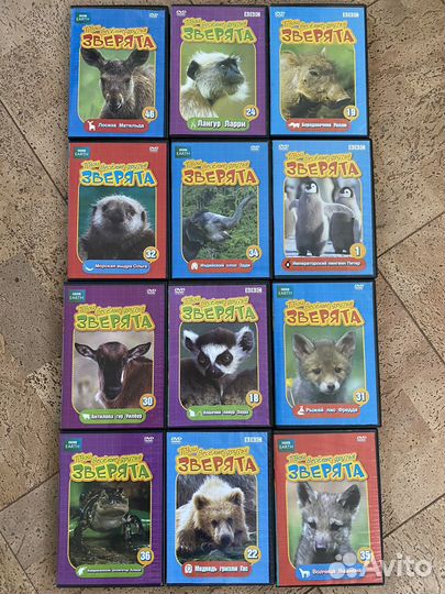 Фильмы мультфильмы на dvd дисках