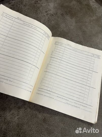 Дневник советского школьника, СССР