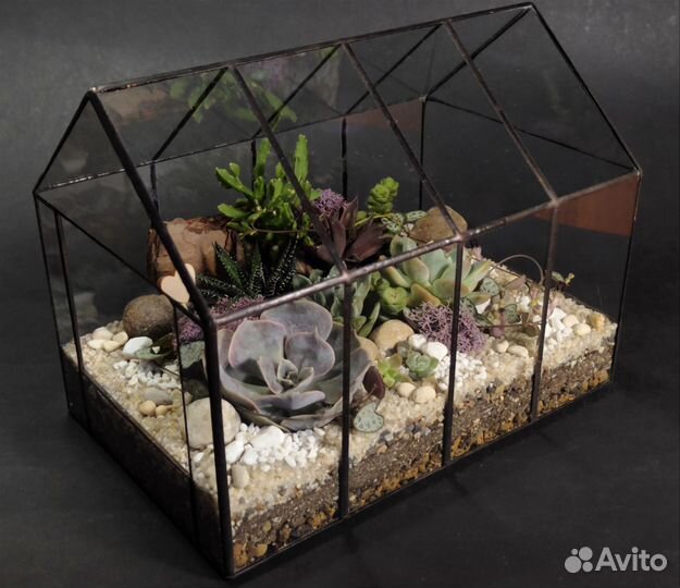 Флорариум/Мини-сад с суккулентами (в наличии)
