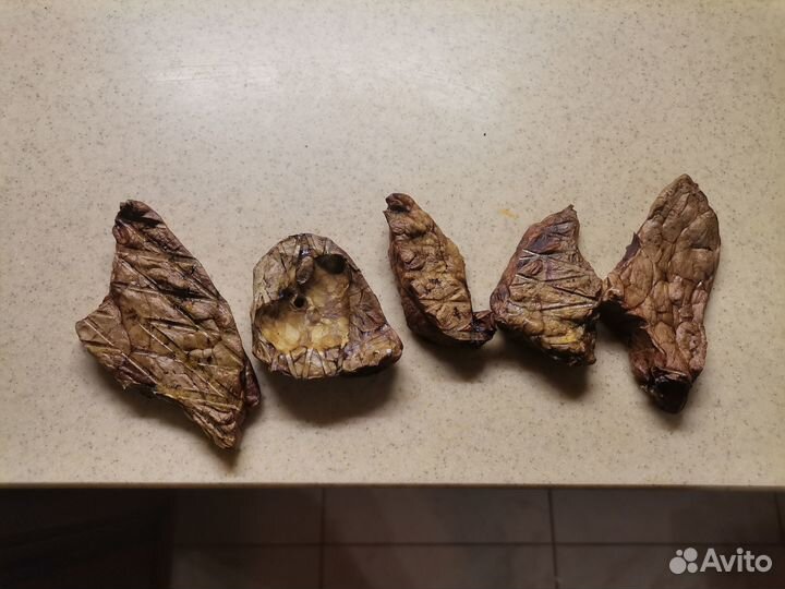 Лёгкое говяжье сушеное