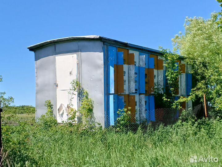 Пчелопавильон