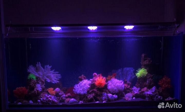 Светильники светодиодные