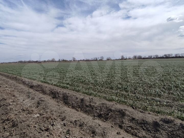 Участок 100 сот. (СНТ, ДНП)