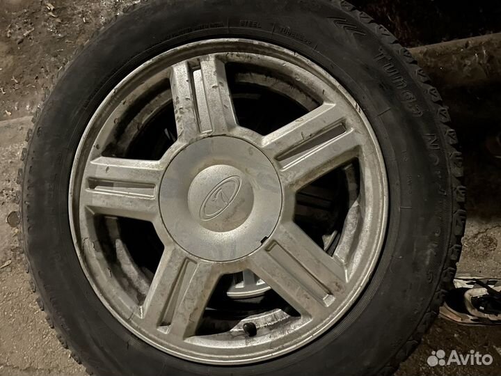 Торусы r14 на зиме