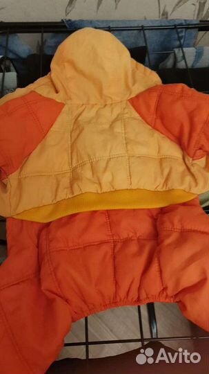 Костюм для собаки (три в объявлении)