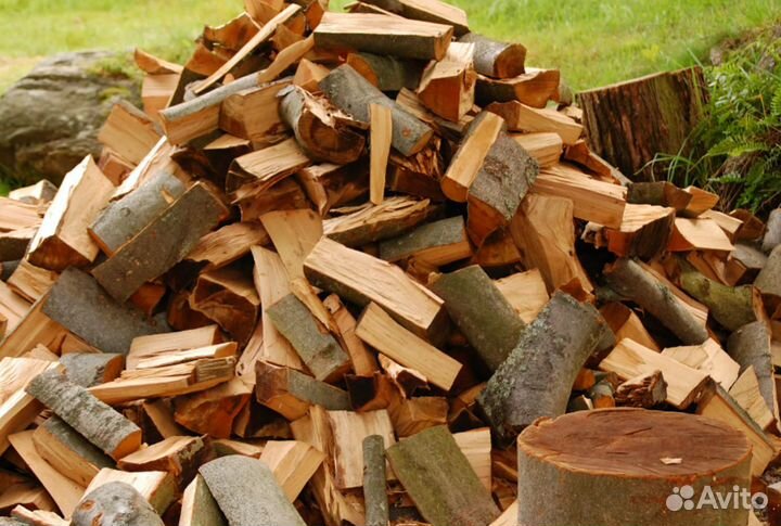 Дрова береза