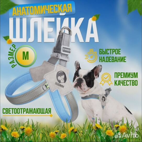 Анатомическая шлейка для собак средних пород