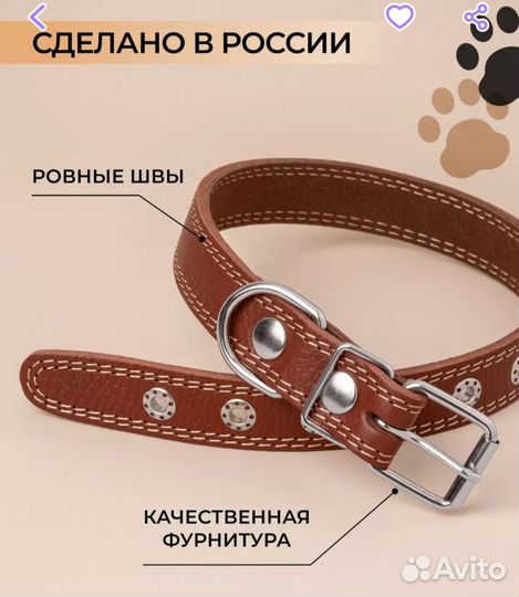 Ошейник для собак