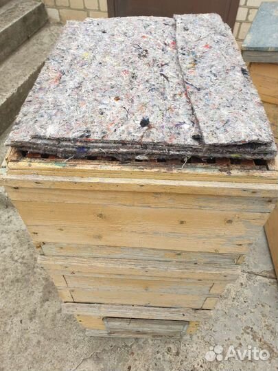 Улей для пчел бу остатки рамки рамканос мёдогонка