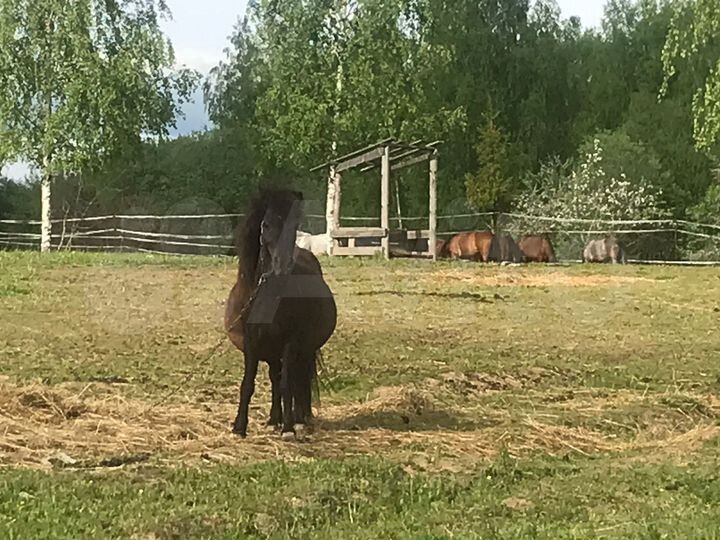 Участок 5,46 га (ИЖС)