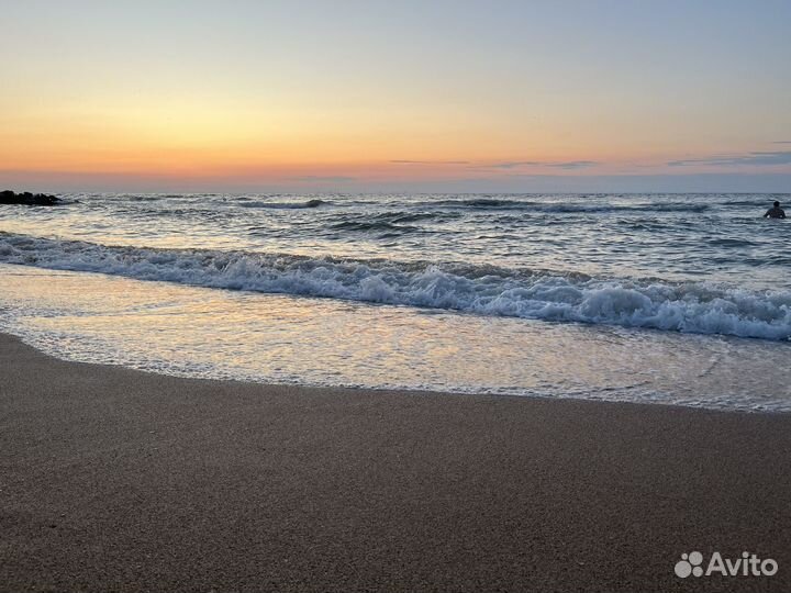 Щенки шитцу